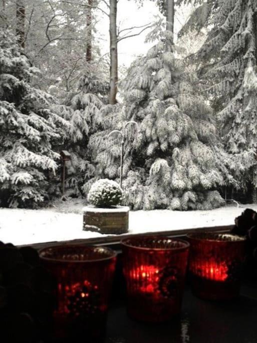 Magical Cottage In The Woods Baarn Dış mekan fotoğraf