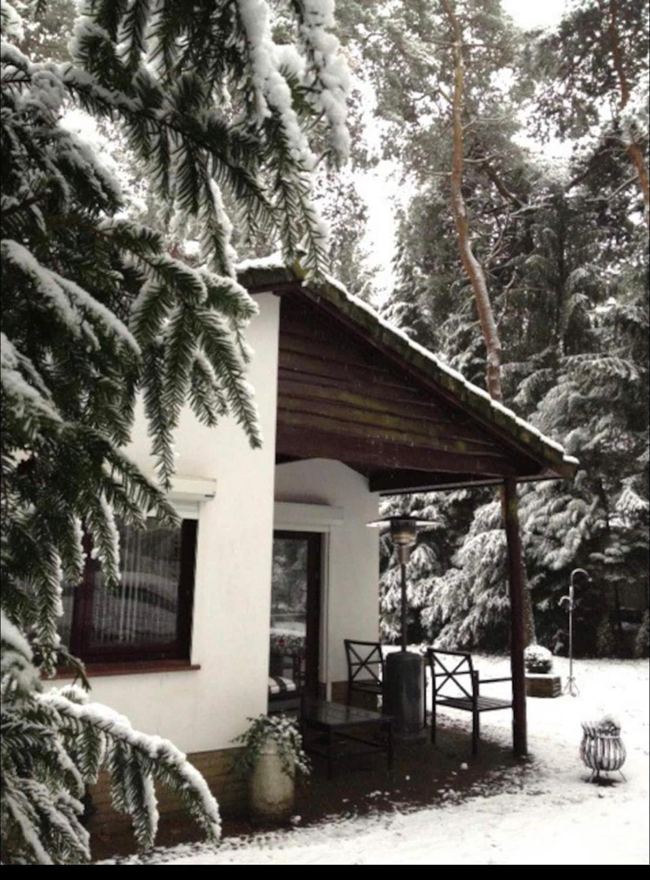 Magical Cottage In The Woods Baarn Dış mekan fotoğraf